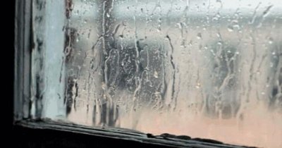 ​故事绘本 - 《大雨哗啦哗啦下》