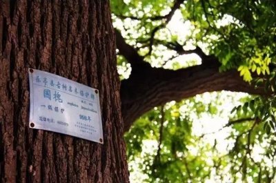 ​乐亭一小、二小、三小的校歌