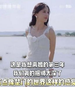 ​黄圣依与杨子分居危机：结婚17年隐忍背后的真相，嘉宾指责杨子行为