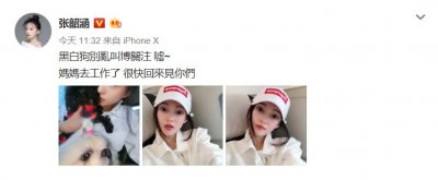 ​张韶涵发文“黑白狗别乱叫”，真的是在暗讽范玮琪和陈建州吗？