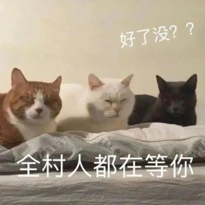 ​沙雕猫猫表情包：又要开始打工了吗？