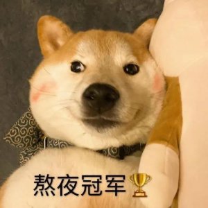 ​表情包：熬夜冠军（53）