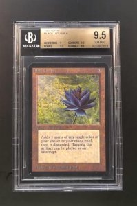 ​游戏卡牌圈都是隐形壕？天价卡牌频出，一张万智牌拍出16.6万美元