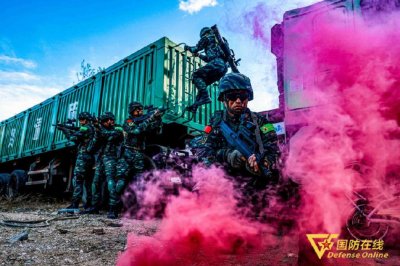 ​实兵演练来袭！高清大图看武警特战队员一招制“敌”
