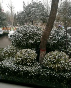 ​紧急提醒：出行注意，济聊、德上高速因雪双向封闭