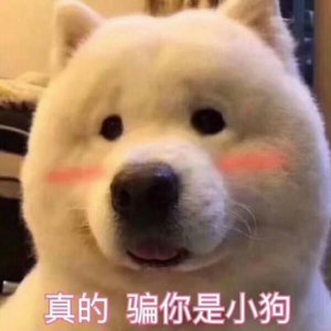 ​如何跟喜欢的男生聊天 全攻略