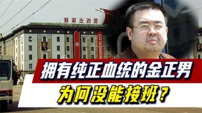 ​拥有纯正血统的金正男，为何没能接班？金正恩与这位兄长关系如何