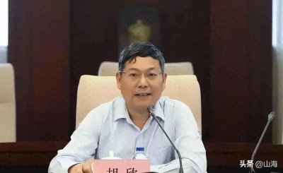​上海城投副总裁胡欣落马：从高管到被捕的辛酸故事