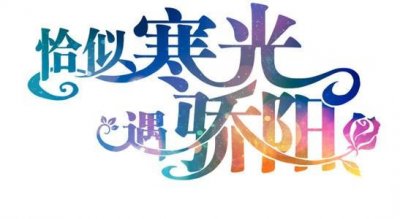 ​《恰似寒光遇骄阳》叶绾绾 司夜寒（恰似寒光遇骄阳讲的是什么故事）