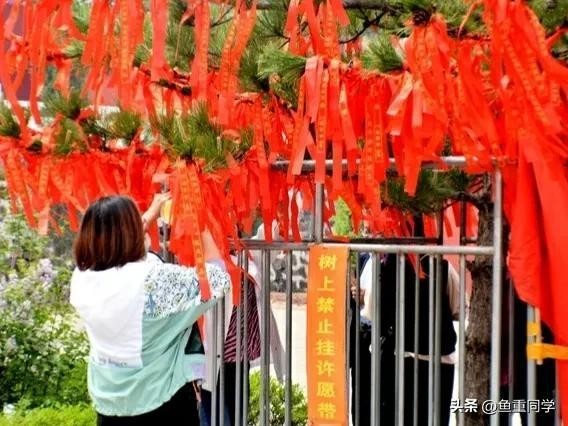 4月初八日是什么日子(农历四月初八将至，你知道是什么日子吗？)
