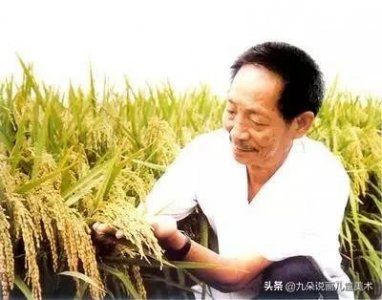 ​纪念杂交水稻之父——袁隆平院士爷爷的手抄报模版