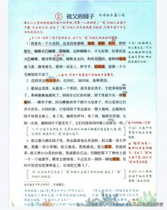 ​五年级语文下册第二课《祖父的园子》笔记和重点内容梳理