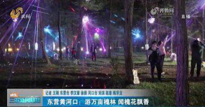 ​【快乐“五一”假期】东营黄河口：游万亩槐林 闻槐花飘香