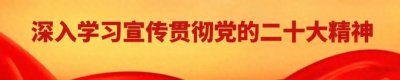 ​速看！阜南县2024年义务教育招生入学工作实施方案、学区划分公布
