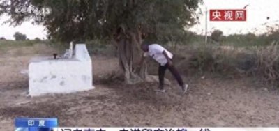 ​袭击印度的4000亿蝗虫，为何几天之内就被印度人杀没了？