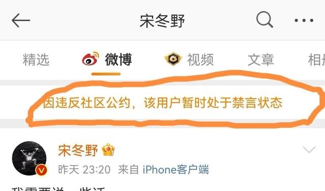 宋冬野为什么封禁(宋冬野为什么可以复出) 宋冬野 第17张