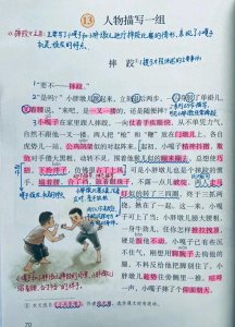 ​五年级语文下，第五单元13课《人物描写一组》课堂笔记+课堂解析