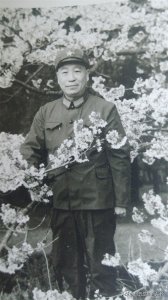 ​发生在王牌军的盗枪阴谋，1977年119师355团特务连手枪被盗案始末