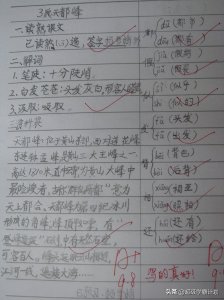 ​为什么大多数同学的预习方法都是错的？如何简单有效的预习呢？