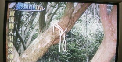 ​2005年倪敏然去世，身亡多日才被发现，为何女友被怀疑是罪魁祸首