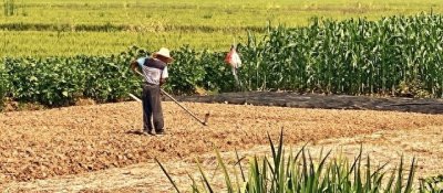 ​中国农民收入调查：真相揭晓，你绝对想知道！