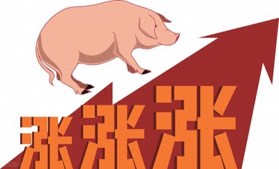 ​今日全国猪价涨跌调整，上涨现象增多，生猪价格稳中伴涨