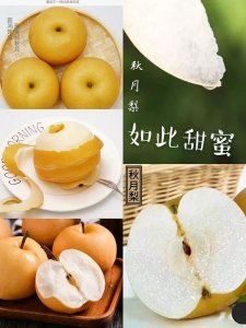 ​邯郸：用“坐公交”app不仅可以扫码乘车、查实时公交，还可以吃梨！