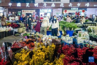 ​昆明斗南花市：花海人潮涌动活力