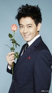 ​林志颖都演过什么电视剧（林志颖出演的电视剧）