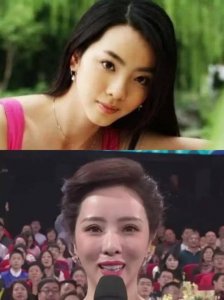 ​李思思整容，如何评价李思思的长相