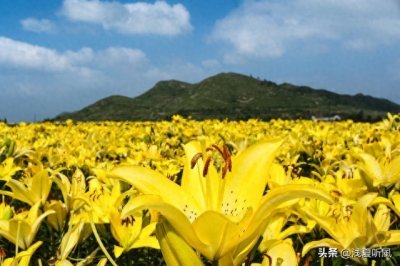 ​四川省旅游景点——绵阳市十大旅游景点（下）