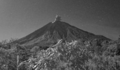 ​印尼塞梅鲁火山喷发 火山灰柱约700米