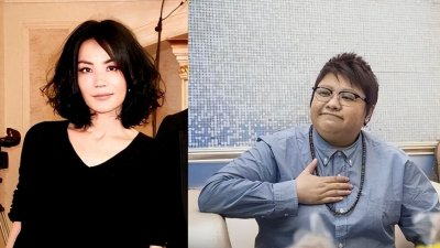​音乐与爱情的交响曲：王菲与栾树的初恋情谊