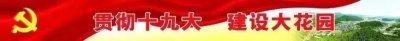 ​党建治理大花园丨丰源村做好拆后利用“变”出新风景
