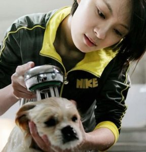 ​孙俪晒女儿牵3只狗照片，孩子养宠物还需注意这4点
