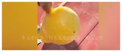 ​阜阳多地现大量白粉虱，为什么有这么多的白粉虱？是怎么来的