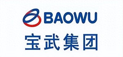 ​解析中国宝武钢铁集团：钢铁世界的核心驱动力