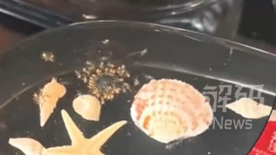 ​顾客称三亚超7000元一晚的酒店虫子成群，酒店方致歉：已免费升级房型