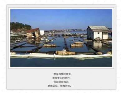 ​泉州通报碳九泄漏：初步认定为安全生产责任事故，将严肃追究责任