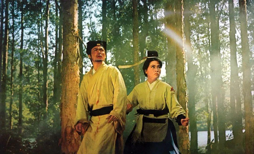 古装武打片老电影推荐（豆瓣排名前十的武侠片介绍）