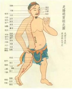 ​跟我学中医 | 足阳明胃经循行路线及图解