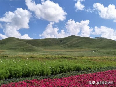 ​河北省 承德市 丰宁满族自治县 丰宁坝上草原