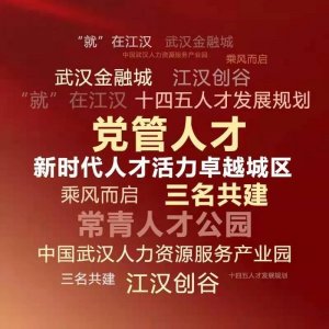 ​江汉因人才更精彩 让人才更出彩