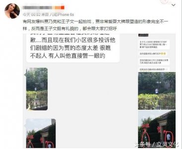 ​贾乃亮前女友王子文：欢乐颂中的“曲妖精”，我很中意，你呢？