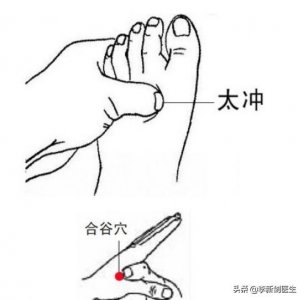​人体关卡之四关穴