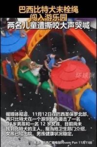 ​赵欣瑜与叶选廉闪婚闪离真相：24天婚姻的背后谜团