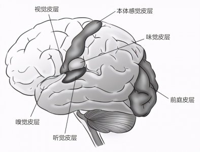 ​世界观是什么（啸大侠）