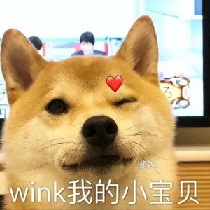 ​狗界智商排行榜，第一名是边境牧羊犬，第三名是它？