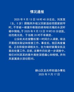 ​湖南5岁女童被突然倾倒的废弃电线杆砸中不幸身亡？官方通报