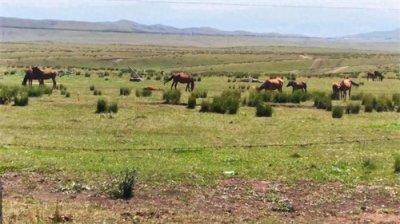 ​印象中国——天马之乡，昭苏县